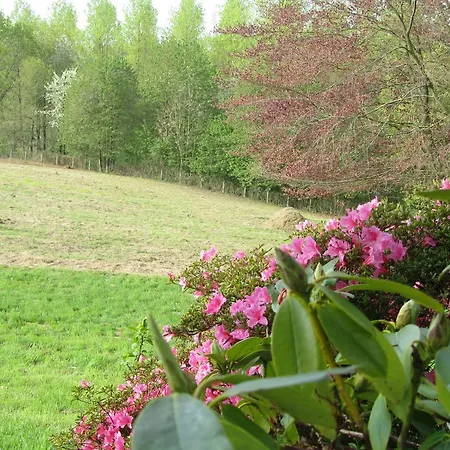 Holiday home La Pichotte *